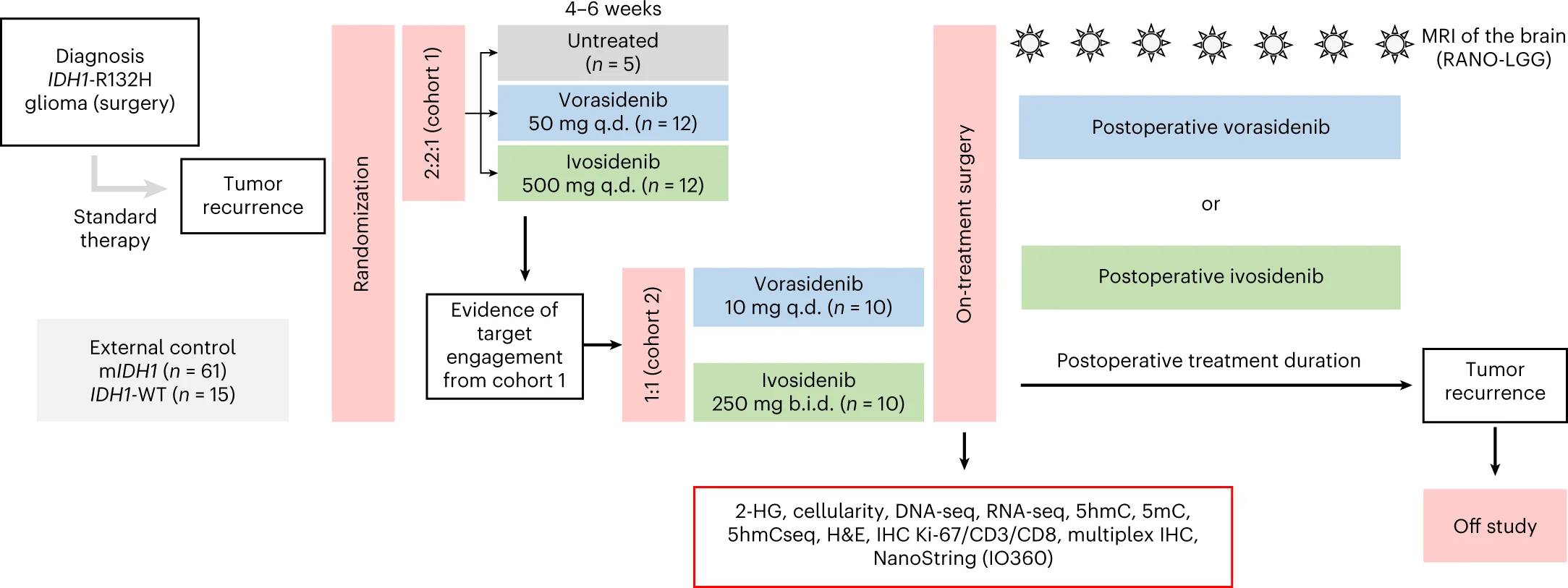 Plot showing: Workflow, Flowchart, Study Design, Patients, Vorasidenib