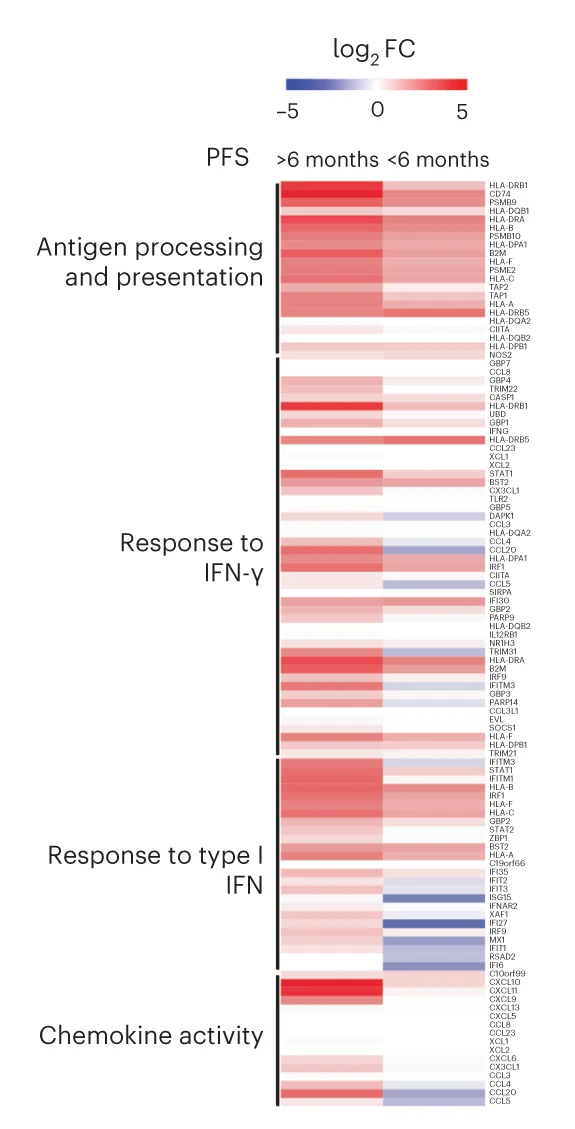 Plot showing: Heatmap, log2 FC, Interferon Stimulated Genes, Immune Pathways, Tumor Epithelial Cells