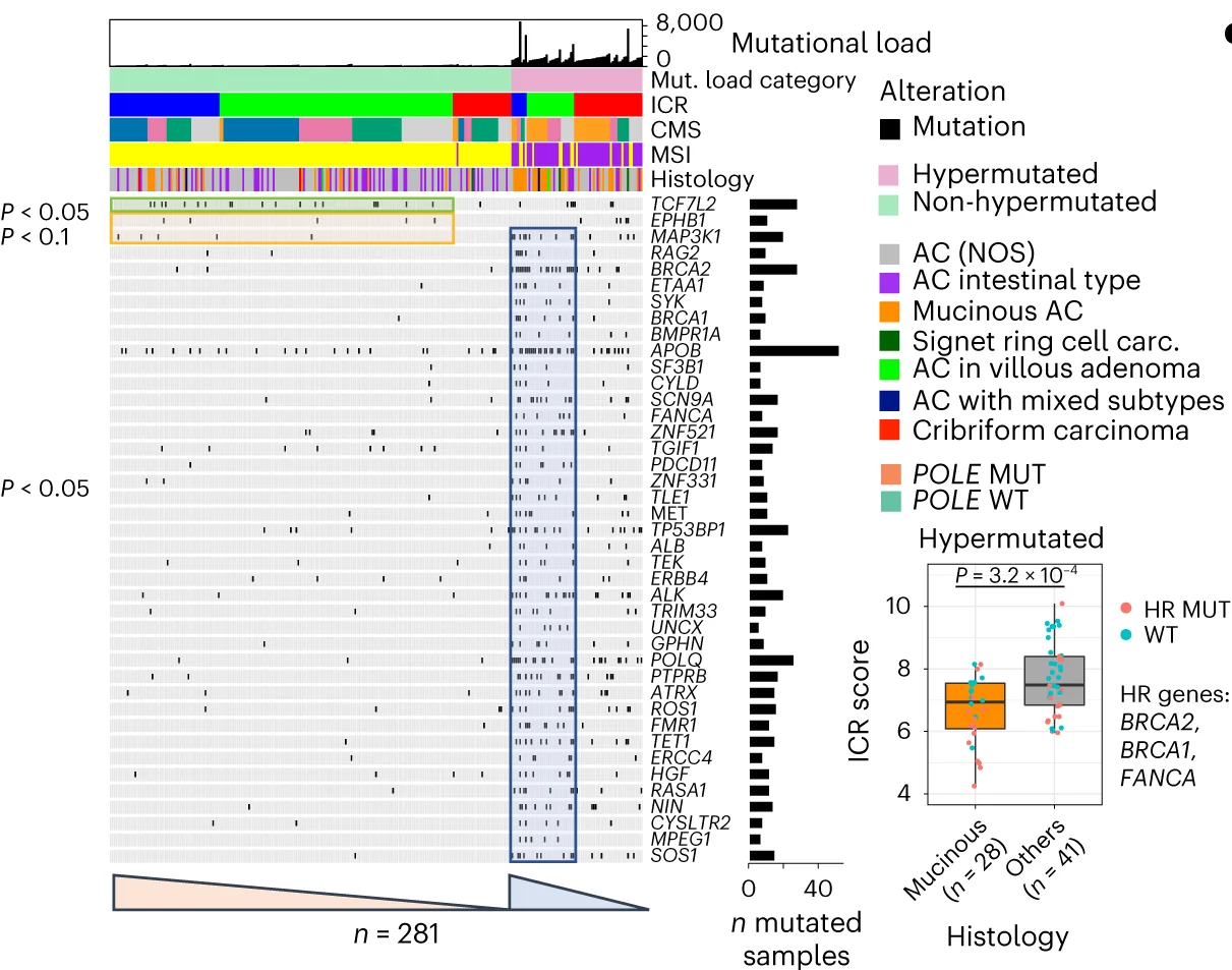 Plot showing: Bar Plot, Box Plot, Scatter Plot, Oncoprint, Somatic Mutations