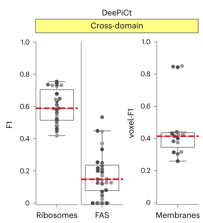 Plot showing: Box Plot, Scatter Plot, Cross-Domain Generalization, 2D CNN, DeePiCt