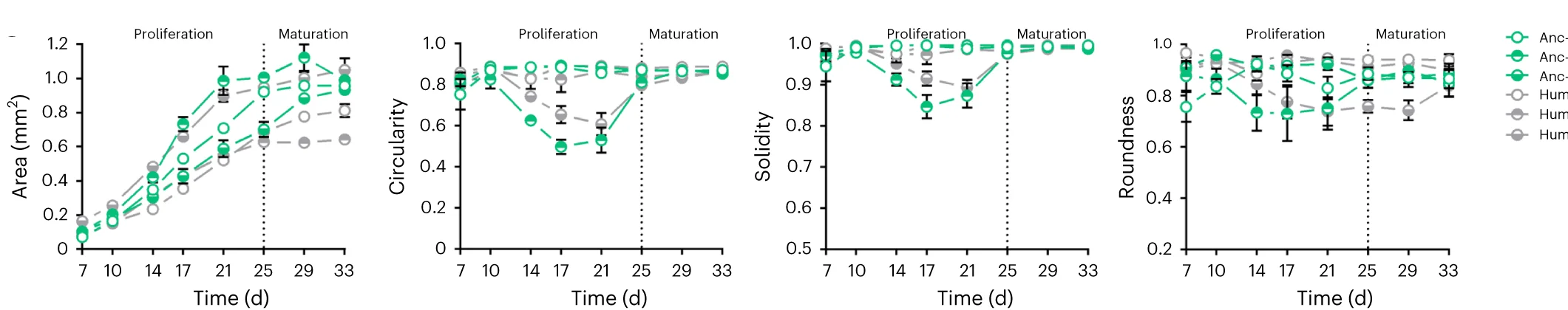 Plot showing: Line Plot, Error Bars, Organoid Size, Organoid Shape, Circularity