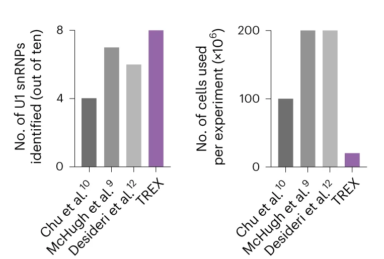 Plot showing: Bar Plot, Clustered, Cell Number, U1 snRNP Proteins, TREX