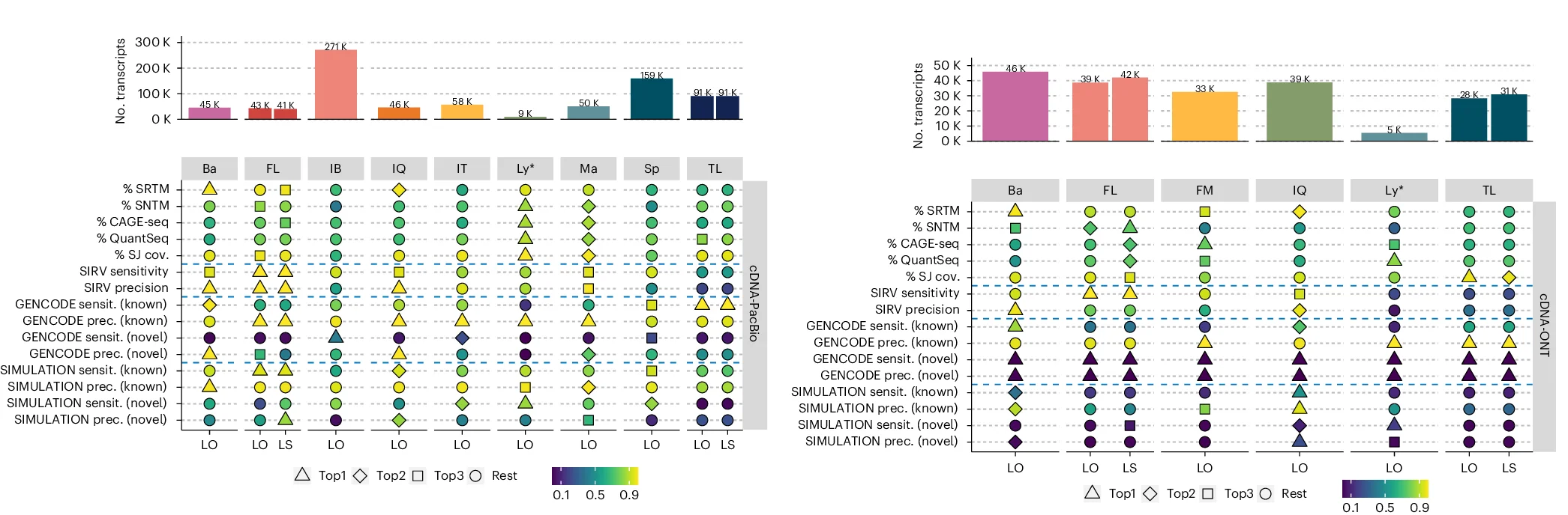 Plot showing: Bar Plot, Scatter Plot, Performance Metrics, Tools, cDNA-PacBio