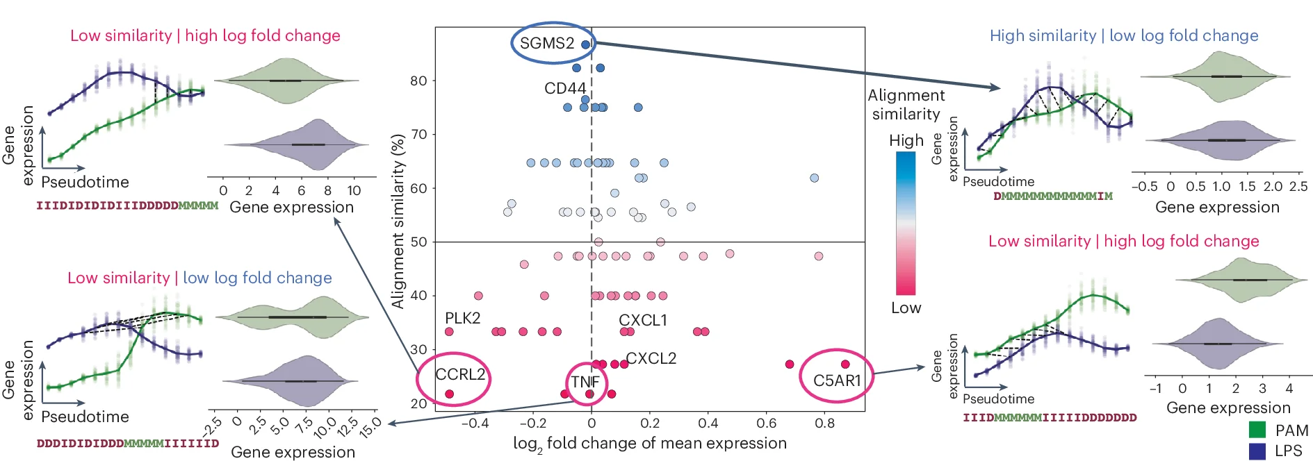 Plot showing: Scatter Plot, Line Plot, Violin Plot, Alignment Similarity, Log2 Fold Change