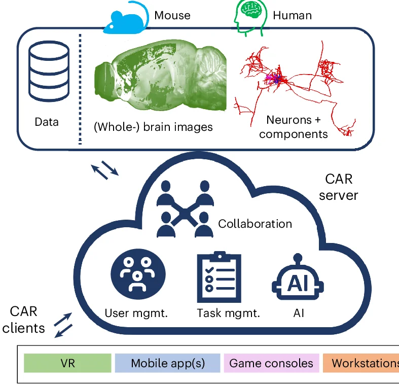 Plot showing: Workflow, Flowchart, Illustration, CAR platform, Cloud-based architecture