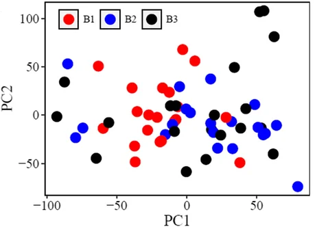 Plot showing: Scatter Plot, PCA, Batches, Samples, Distribution