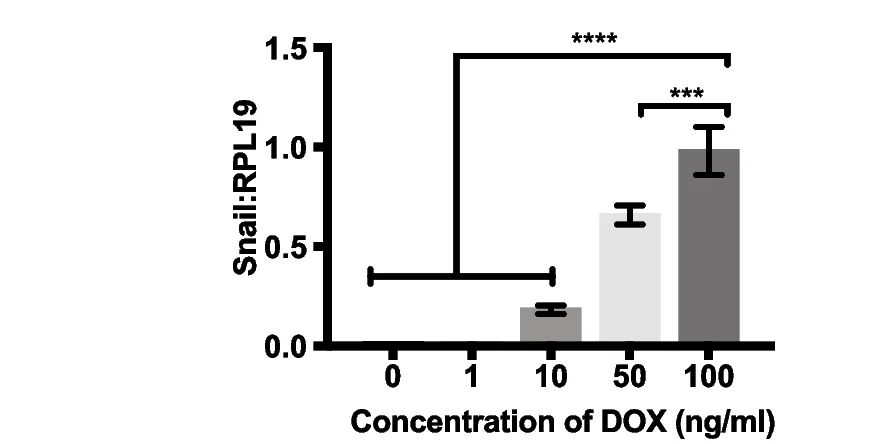 Plot showing: Bar Plot, Error Bars, Snail RNA expression, DOX concentration, Snail hi