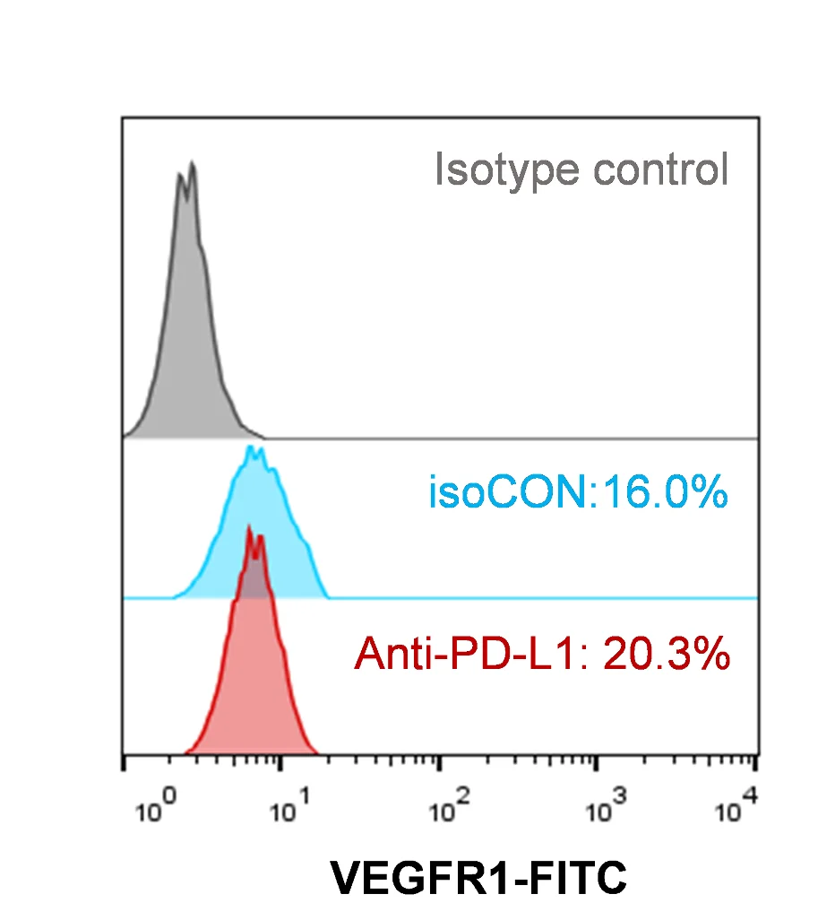 Plot showing: Density Plot, Flow-Cytometry, VEGFR1, Surface Expression, GBM-educated Macrophages