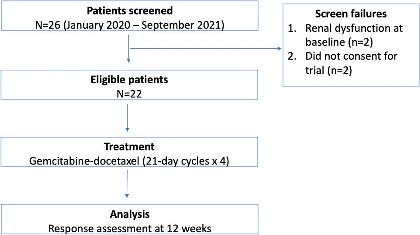 Plot showing: Workflow, Flowchart, Trial Profile