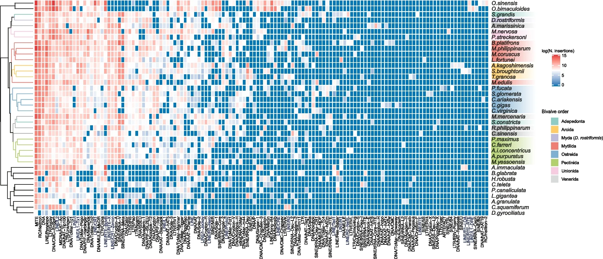 Plot showing: Heatmap, Clustered, Hierarchical Cluster Analysis, Transposon, Insertion