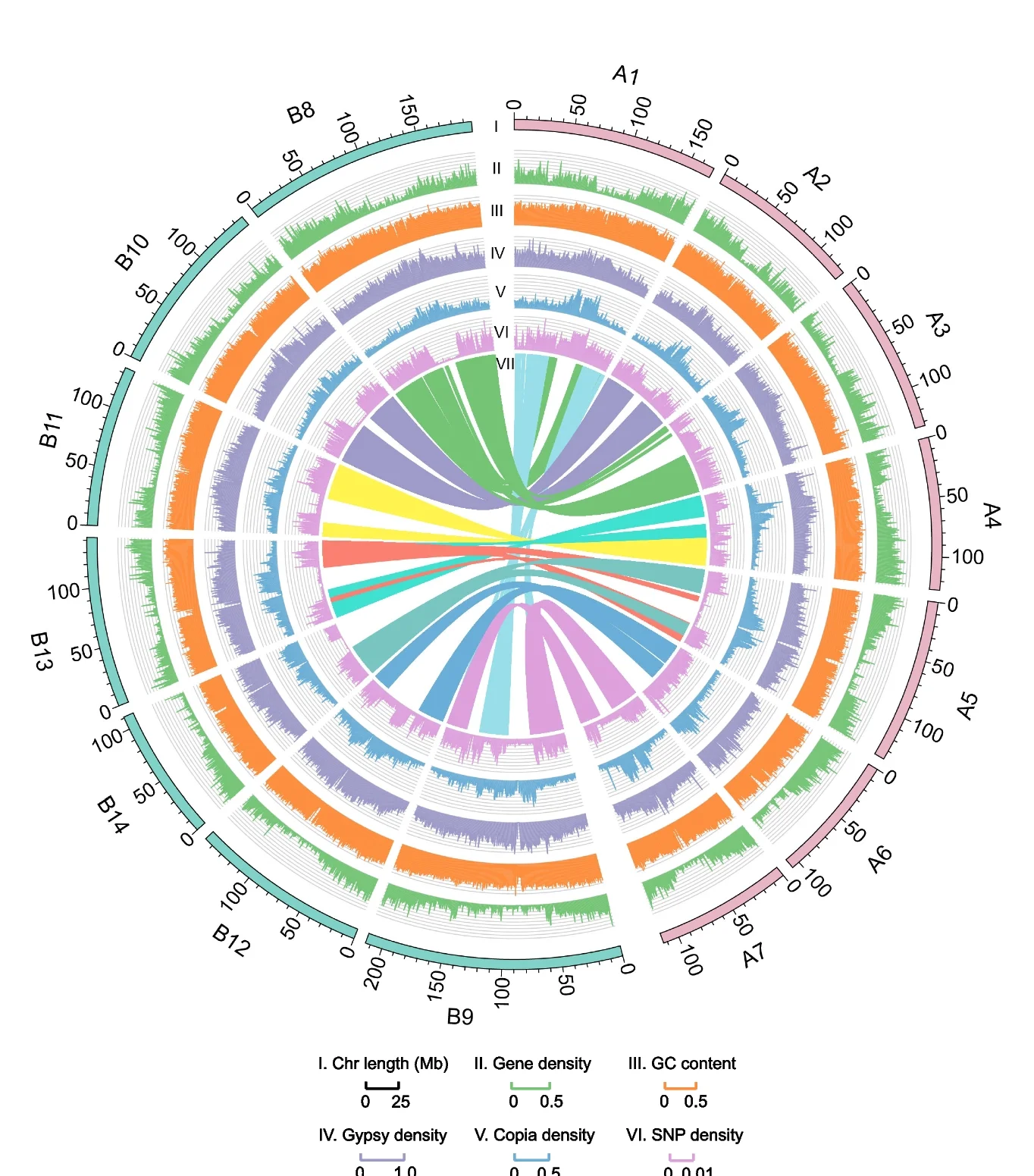 Plot showing: Chord, Line Plot, Bar Plot, Histogram, Circos representation
