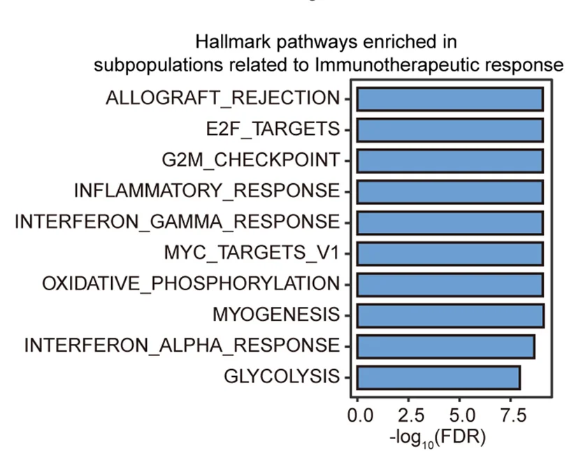 Plot showing: Bar Plot, Hallmark Pathways, PACSI, GSEA
