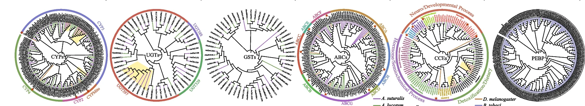 Plot showing: Network, Pathway, Phylogenetic Tree, Cytochrome P450, UDP-glucuronosyltransferase