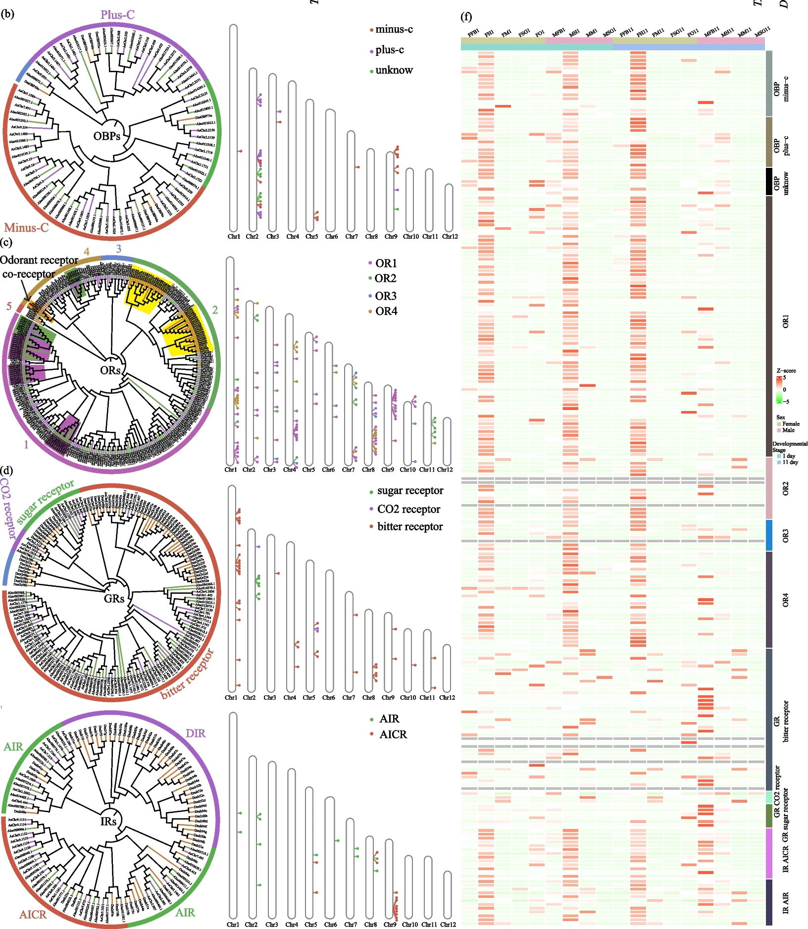 Plot showing: Network, Heatmap, Clustered, Pathway, OBP Genes