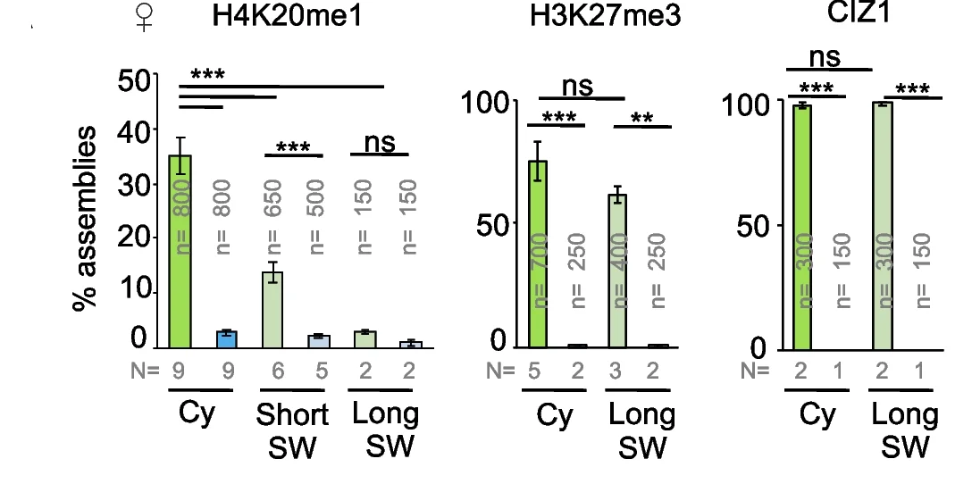 Plot showing: Bar Plot, Error Bars, H4K20me1, H3K27me3, CIZ1