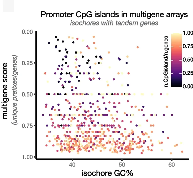 Plot showing: Scatter Plot, Multigene score, Isochore, GC content, Tandem Duplicated Genes