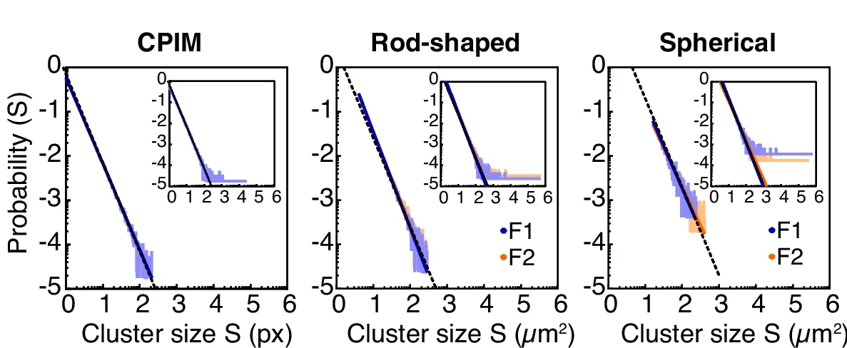 Plot showing: Line Plot, Histogram, Probability Distribution, Cluster Size, Ferromagnetic