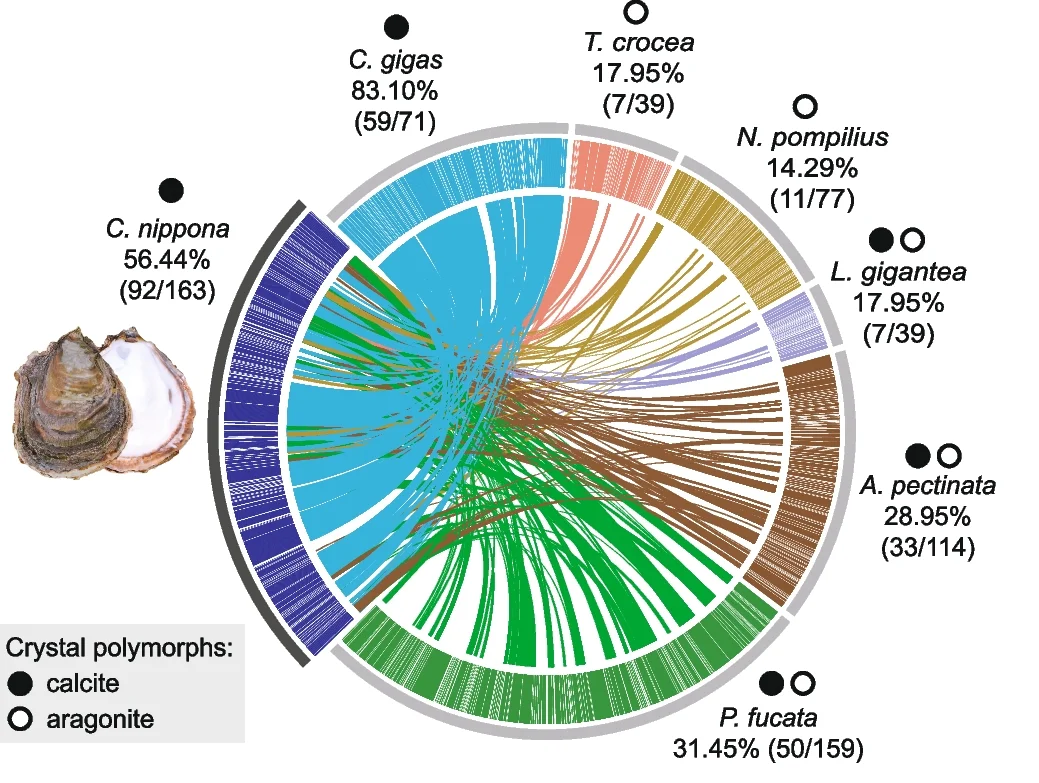 Plot showing: Chord, Circos Diagram, Molluscan Shell Proteomes, Shell Matrix Proteins, C. nippona