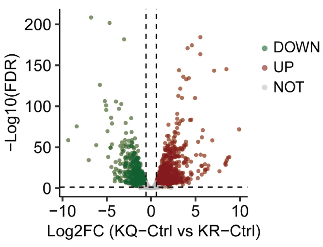 Plot showing: Volcano Plot, Scatter Plot, Volcano Plots, Gene Expression Profiles, KLF5 K369Q
