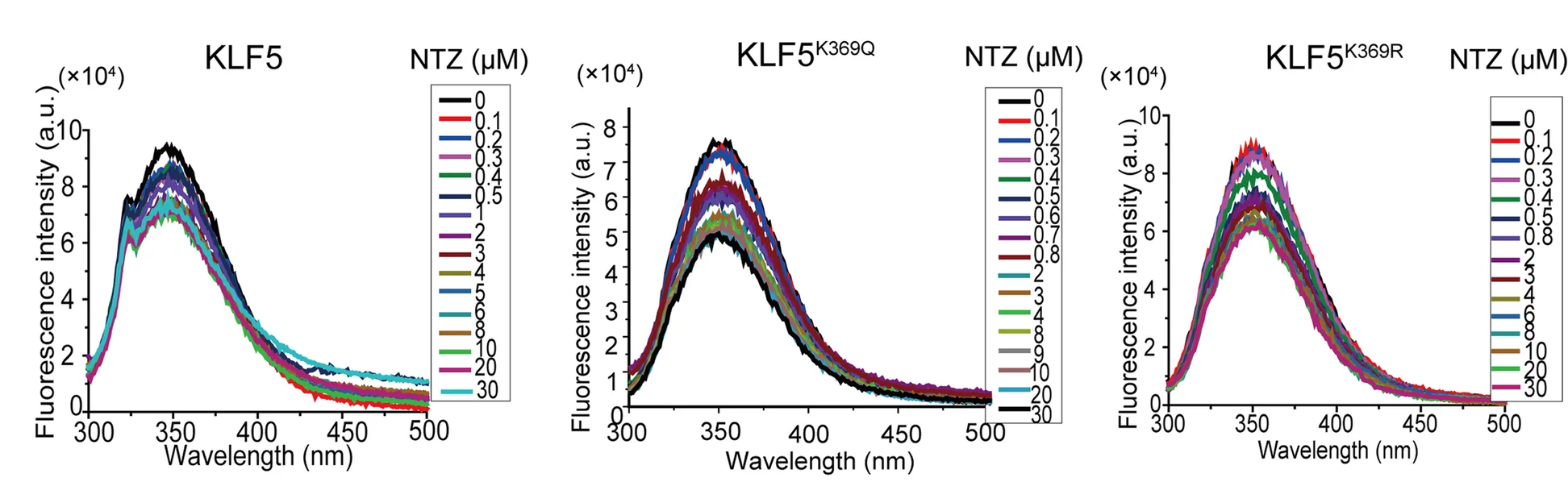 Plot showing: Line Plot, Density Plot, KLF5, KLF5 K369Q, KLF5 K369R