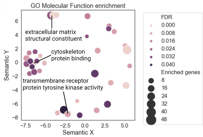 Plot showing: Bubble Plot, Scatter Plot, GO molecular function, False discovery rate, REVIGO