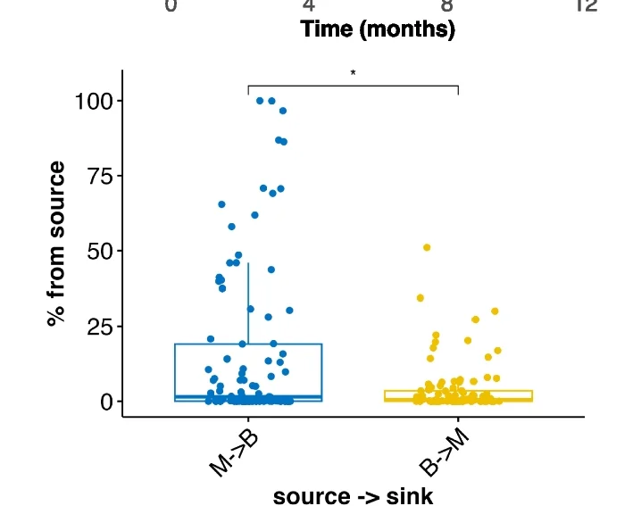 Plot showing: Box Plot, Scatter Plot, Species-FEAST, Source tracking, Infant gut microbiome