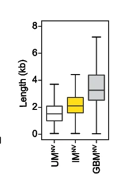 Plot showing: Box Plot, Boxplot, Gene Length, Gene Groups