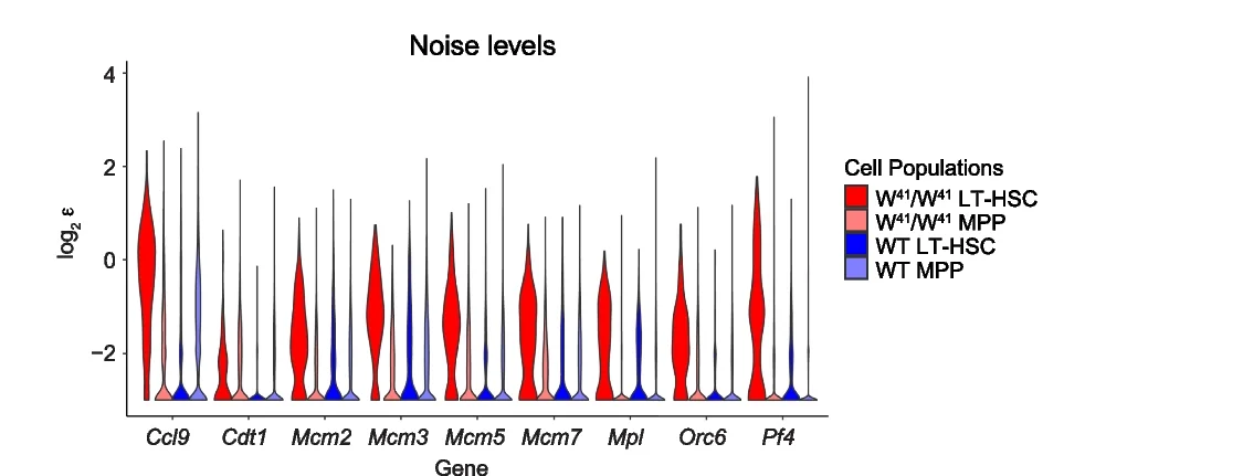 Plot showing: Violin Plot, Gene Expression Noise, Genes, DNA Replication, LT-HSCs