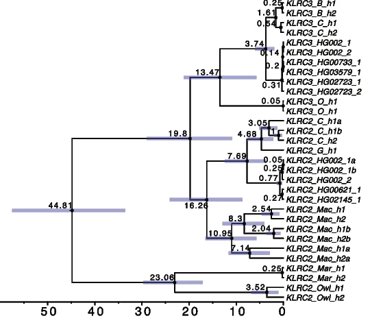 Plot showing: Line Plot, Error Bars, Line Step, Phylogenetic Tree, KLRC2