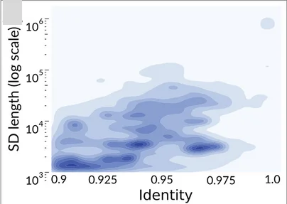 Plot showing: Density Plot, Sequence Identity, SD abundance, Contour Plot