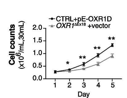 Plot showing: Line Plot, Error Bars, Proliferation, Lymphoblasts, OXR1D