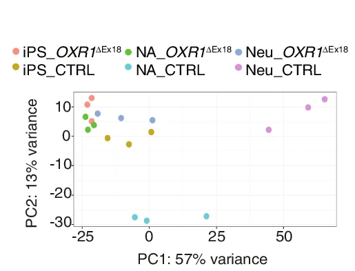 Plot showing: Scatter Plot, PCA, Principal Components Analysis, Clustering, Principal Component 1