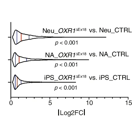 Plot showing: Violin Plot, Log 2 FC Distribution, DEGs, OXR1 ΔEx18, Differentiation Stage