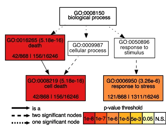 Plot showing: Workflow, Flowchart, GO-term, Biological Process, Enrichment