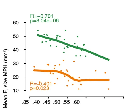 Plot showing: Scatter Plot, Regression Plot, Rosette Growth, Rare Allele, Positive Genes