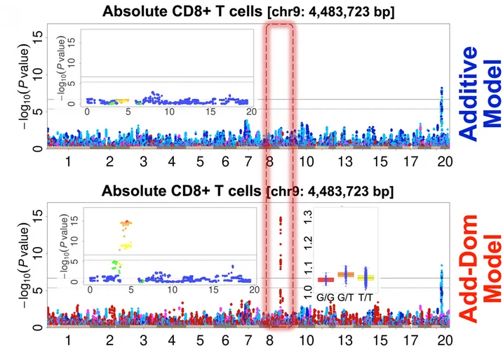 Plot showing: Manhattan Plot, Scatter Plot, Box Plot, Absolute CD8 + T Cells, HS Rats