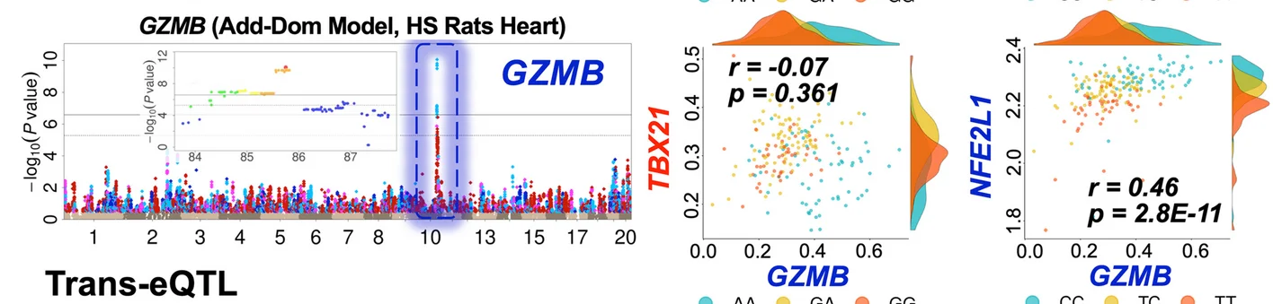 Plot showing: Manhattan Plot, Scatter Plot, Density Plot, Manhattan plots, Genes