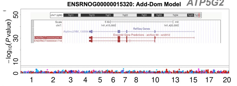 Plot showing: Manhattan Plot, Manhattan Plots, Gene Expression, Amygdala, eQTLs