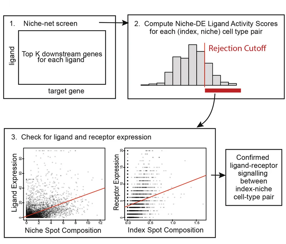 Plot showing: Workflow, Bar Plot, Scatter Plot, Ligand-Receptor, Niche Cell Type