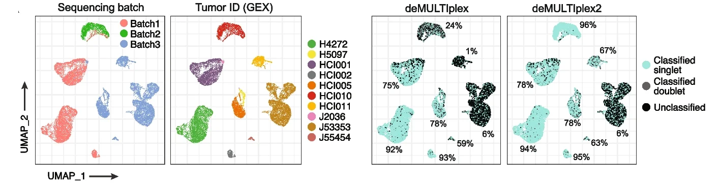 Plot showing: Scatter Plot, UMAP, Gene Expression, Sequencing Batch, Tumor ID