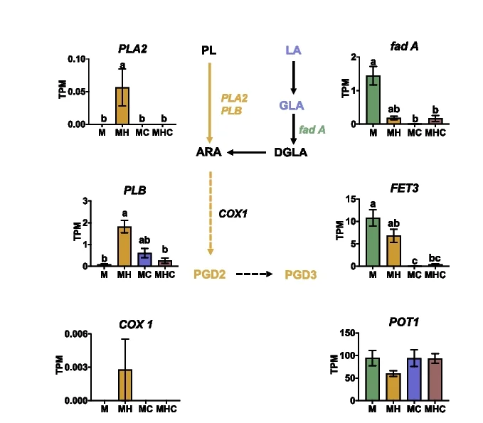Plot showing: Bar Plot, Error Bars, Pathway, Arachidonic Acid Metabolism, PGD2 Generation