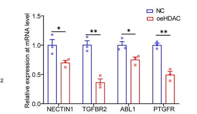 Plot showing: Bar Plot, Error Bars, qPCR, NECTIN1, TGFBR2