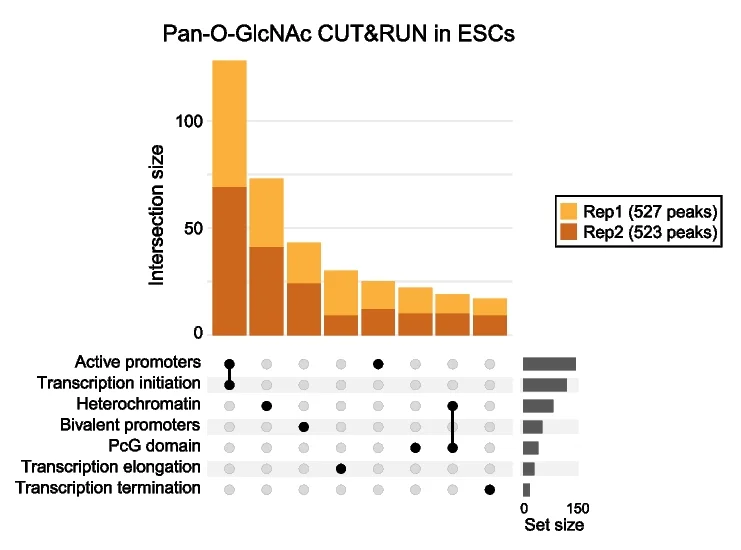 Plot showing: Stacked Bar Plot, UpSet, Bar Plot, Upset Plot, O-GlcNAc Peaks