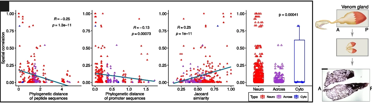 Plot showing: Scatter Plot, Regression Plot, Box Plot, Microscopy, Illustration