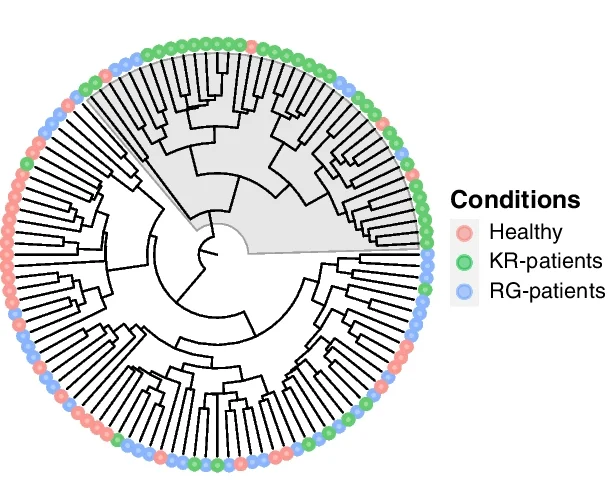 Plot showing: Network, Hierarchical Clustering, Healthy Control, KR-Patients, RG-Patients