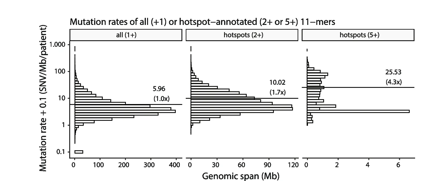 Plot showing: Histogram, Mutation rates, 11-mers, Hotspot