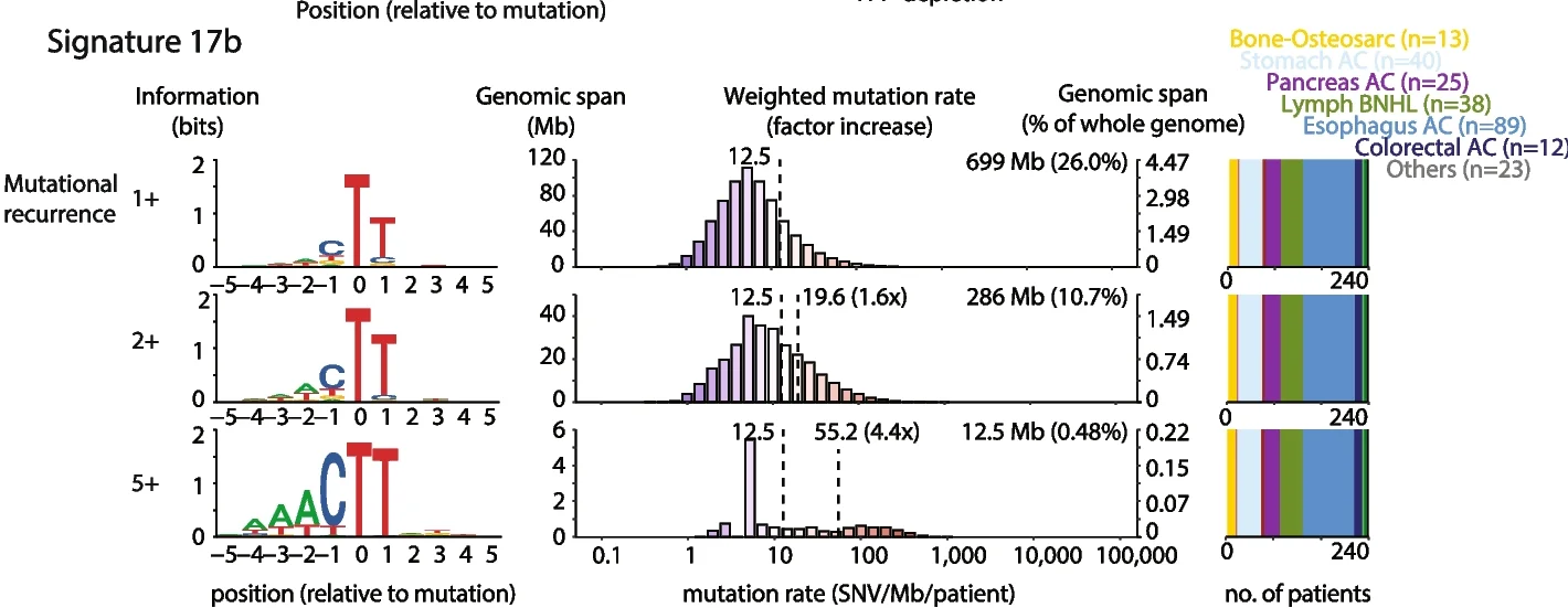 Plot showing: Bar Plot, Histogram, Stacked Bar Plot, Signature 17b, 11-mers