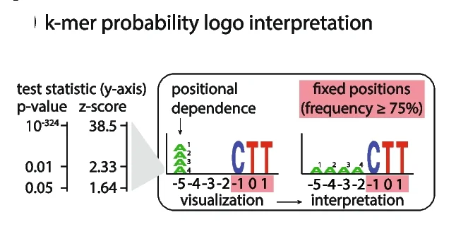 Plot showing: Illustration, UV-signature 7a, 11-mers, Hotspot