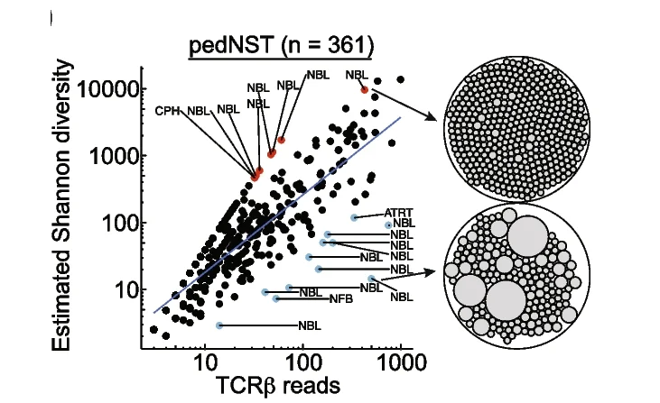 Plot showing: Scatter Plot, Bubble Plot, TCR Shannon Diversity, TCR Reads, Linear Regression