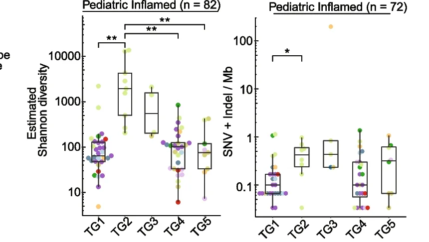Plot showing: Box Plot, Scatter Plot, Boxplots, TCR Shannon Diversity, TMB